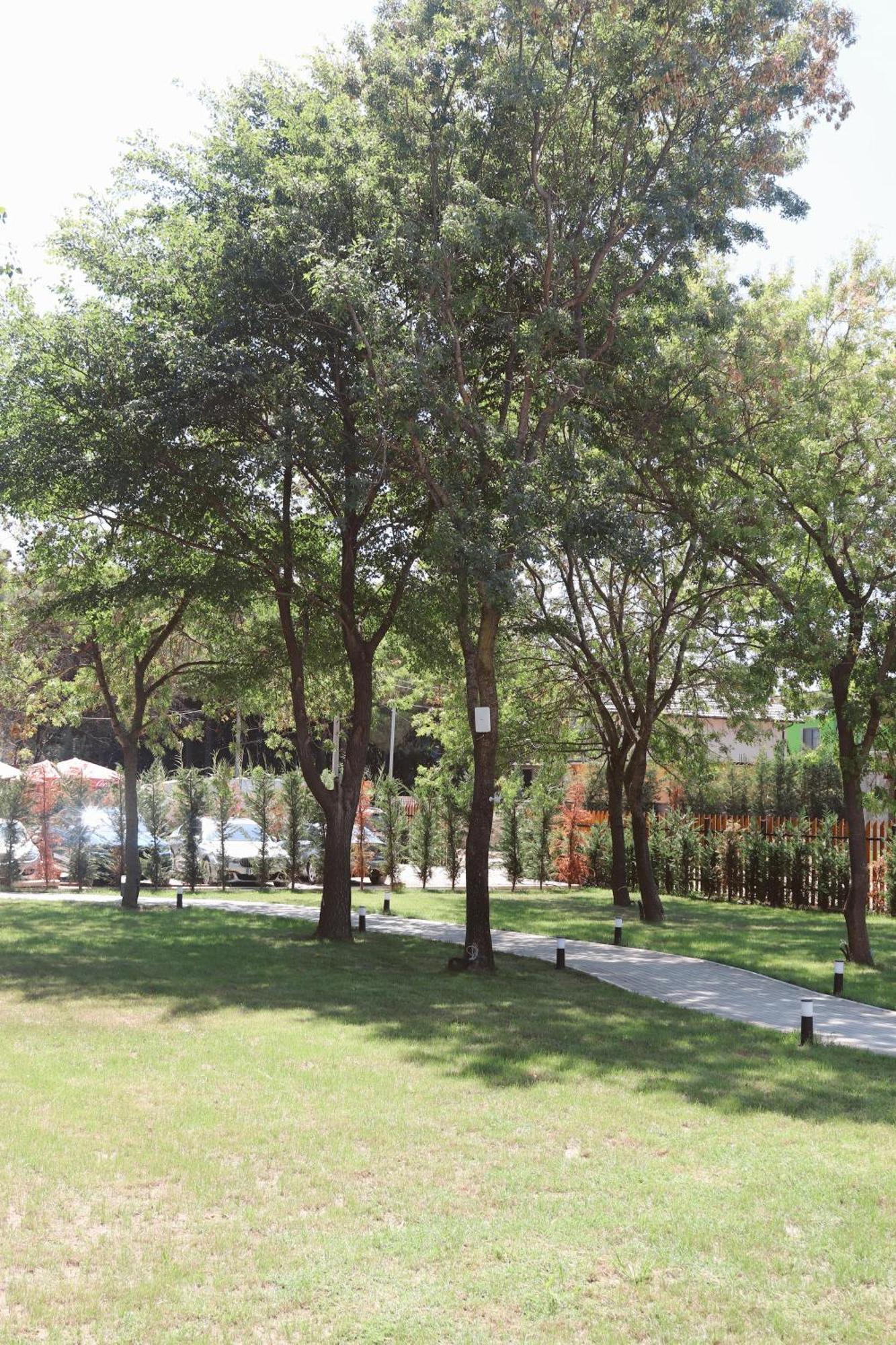 Noima Hotel & Suites Velipojë Dış mekan fotoğraf